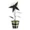 11.75" Clubs Playing Card Flytrap in Diamond Pot Tabletop Décor by Ashland®